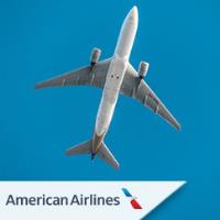 American Airlines image 1